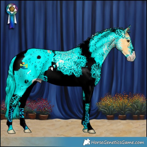 Horse Color:White Spotted Palomino 