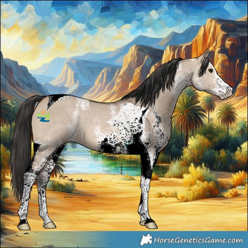 Horse Color:White Spotted Brown Dun Tobiano 