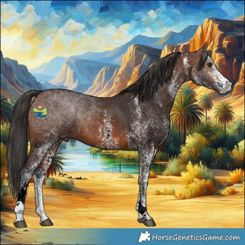 Horse Color:White Spotted Brown 