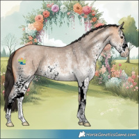 Horse Color:White Spotted Bay Dun 