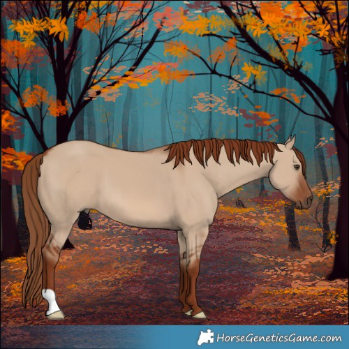 Horse Color:Red Dun 