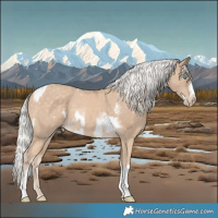 Horse Color:Chocolate Palomino Pearl Tobiano Frame and Silver Perlino Tobiano