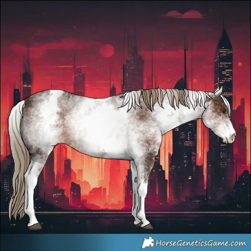 Horse Color:White Spotted Liver Chestnut 