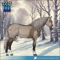 Horse Color:Silver Brown Dun  and Silver Brown Dun 
