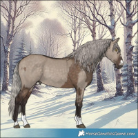 Horse Color:Silver Brown Dun and Silver Brown Dun
