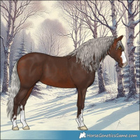 Horse Color:Silver Brown 