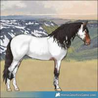 Horse Color:Brown Roan Near Fewspot 