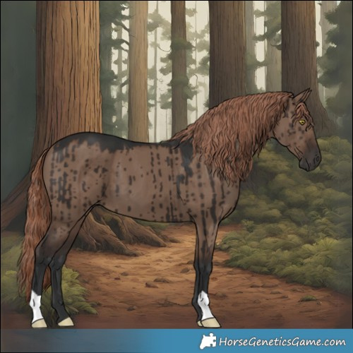 Horse Color:Liver Red Dun Brindle 