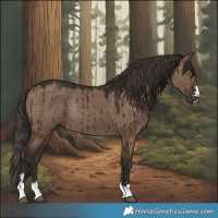 Horse Color:Liver Red Dun Rabicano Brindle