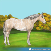 Horse Color:Chocolate Palomino Pearl Tobiano Frame and Palomino Pearl Tobiano Frame