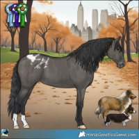 Horse Color:Grullo Appaloosa Brindle 