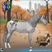 Horse Color:Grullo Varnish Brindle