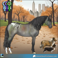 Horse Color:Grullo Varnish Brindle 