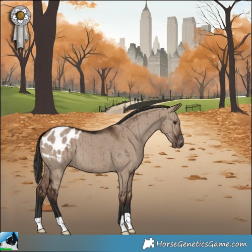 Horse Color:Liver Red Dun Appaloosa Brindle 