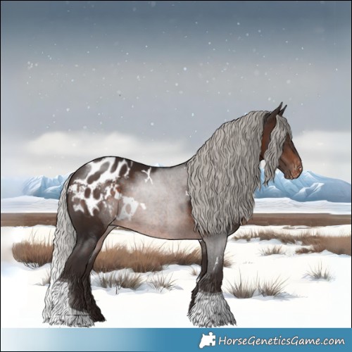 Horse Color:White Spotted Silver Brown Tobiano Appaloosa