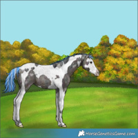 Horse Color:Painted Midnight Brown Ice Splash Tobiano 