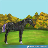 Horse Color:Painted Watercolor Midnight Buckskin Ice Pearl Dun Varnish 