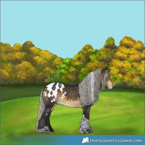 Horse Color:White Spotted Silver Buckskin Tobiano Appaloosa