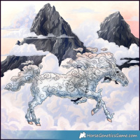 Horse Color:White Spotted Brown Tobiano 