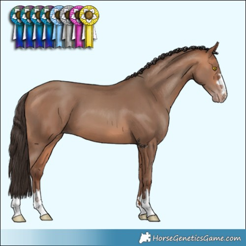 Horse Color:Amber Champagne 