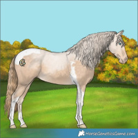 Horse Color:Perlino Tobiano 