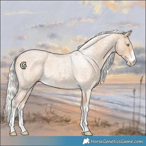 Horse Color:White Spotted Silver Perlino Roan 