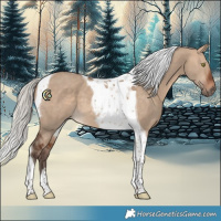 Horse Color:Silver Bay Dun Tobiano 