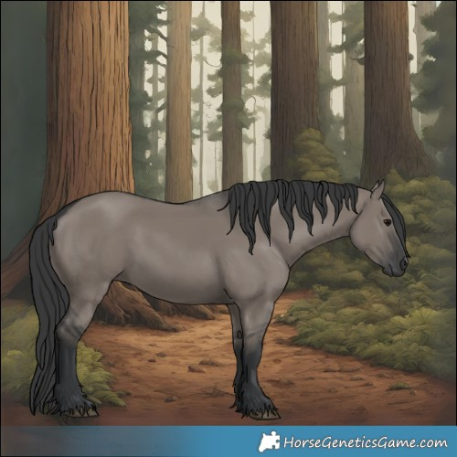 Horse Color:Grullo 