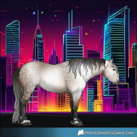 Horse Color:Gray Bay Dun 