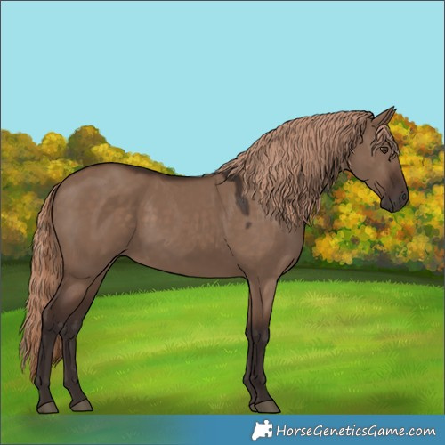 Horse Color:Liver Red Dun 