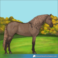 Horse Color:Liver Red Dun