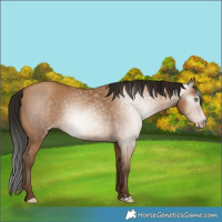 Horse Color:Gray Amber Champagne 