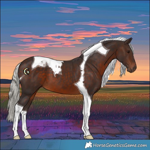 Horse Color:Silver Brown Tobiano 