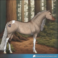 Horse Color:Silver Brown Dun Tobiano Rabicano 