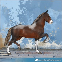 Horse Color:Liver Chestnut Sabino Tobiano Rabicano