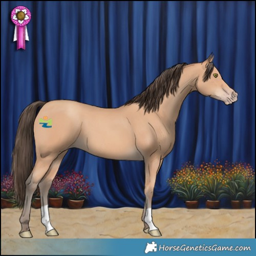 Horse Color:Amber Champagne 