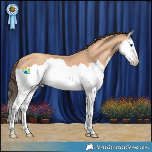 Horse Color:Amber Champagne Splash 