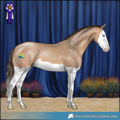 Horse Color:Amber Champagne Splash 