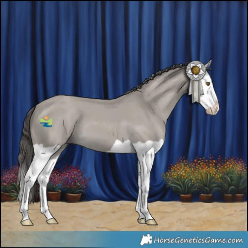 Horse Color:Classic Cream Champagne Splash