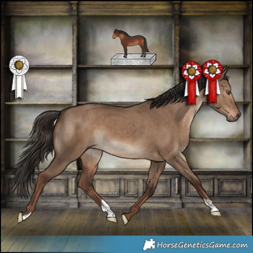 Horse Color:Liver Red Dun 