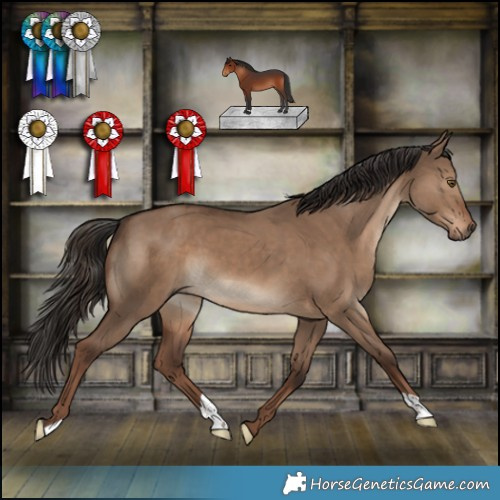 Horse Color:Liver Red Dun 