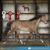 Horse Color:Liver Red Dun 