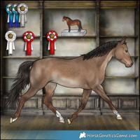 Horse Color:Liver Red Dun 