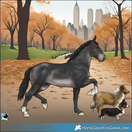 Horse Color:Platinum Brown 