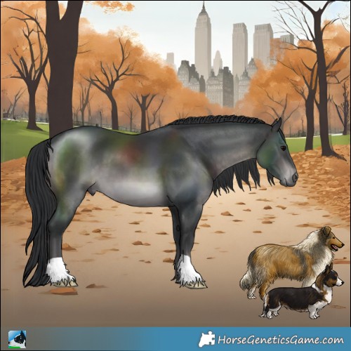 Horse Color:Platinum Brown 