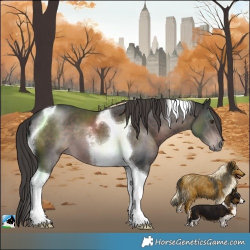 Horse Color:Platinum Liver Chestnut Tobiano 
