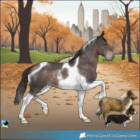 Horse Color:Platinum Liver Chestnut Tobiano