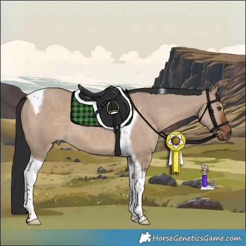 Horse Color:Liver Red Dun Tobiano 