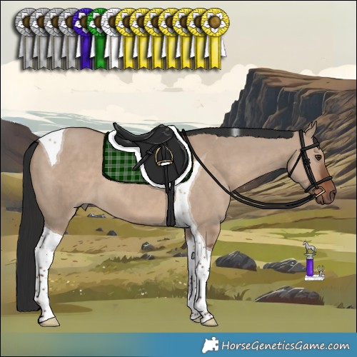 Horse Color:Liver Red Dun Tobiano 