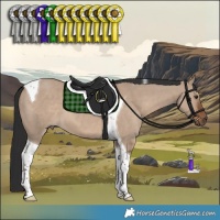 Horse Color:Liver Red Dun Tobiano 